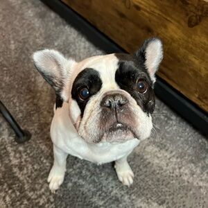 Extra Shipping Label